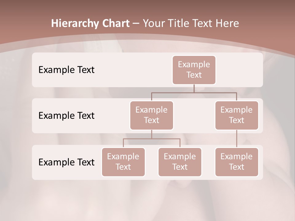 A Group Of Asian Ladies Exercising In The Park PowerPoint Template