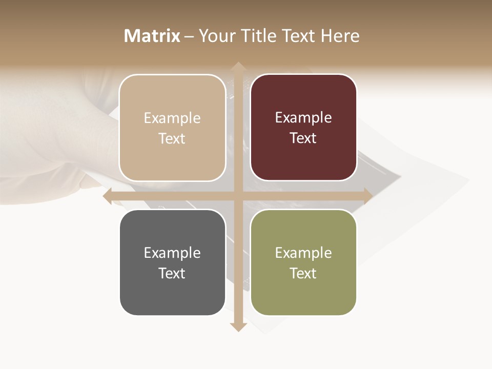 Doctor Hands With Ovary Sonogram PowerPoint Template
