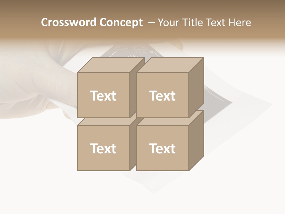 Doctor Hands With Ovary Sonogram PowerPoint Template