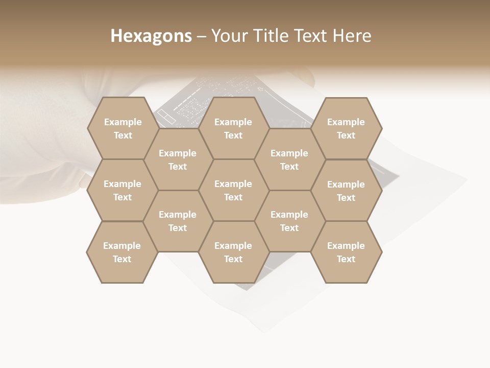 Doctor Hands With Ovary Sonogram PowerPoint Template