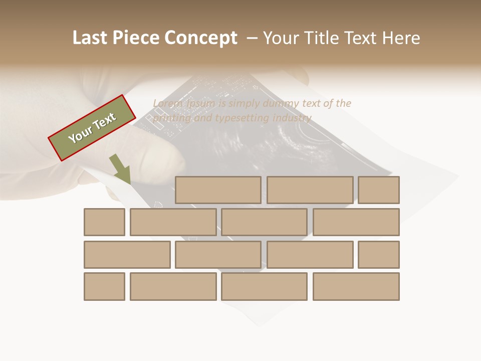 Doctor Hands With Ovary Sonogram PowerPoint Template