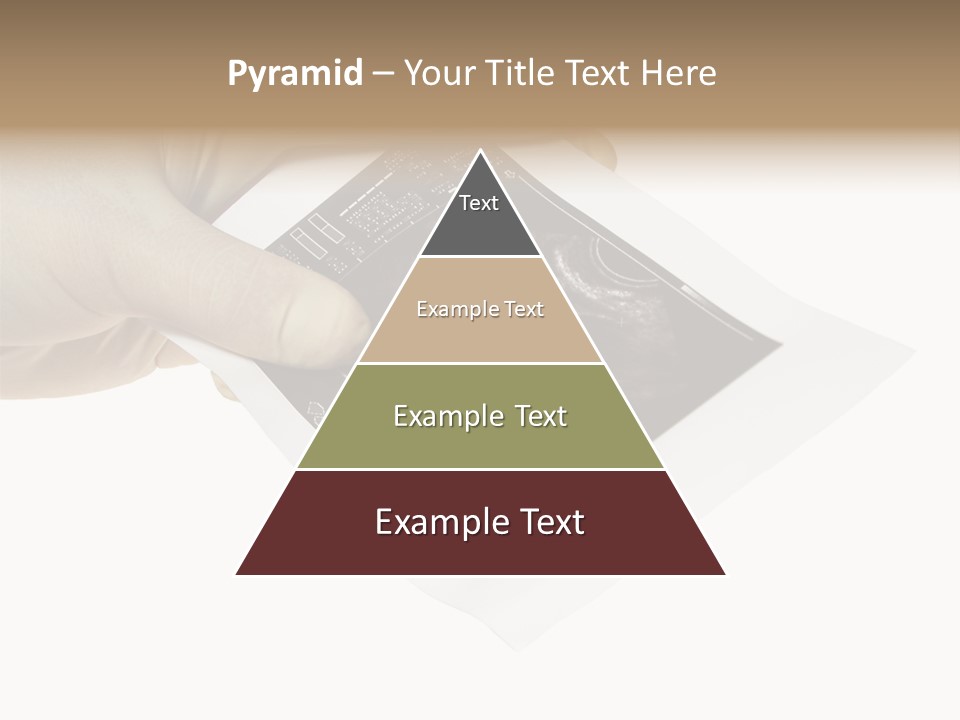 Doctor Hands With Ovary Sonogram PowerPoint Template