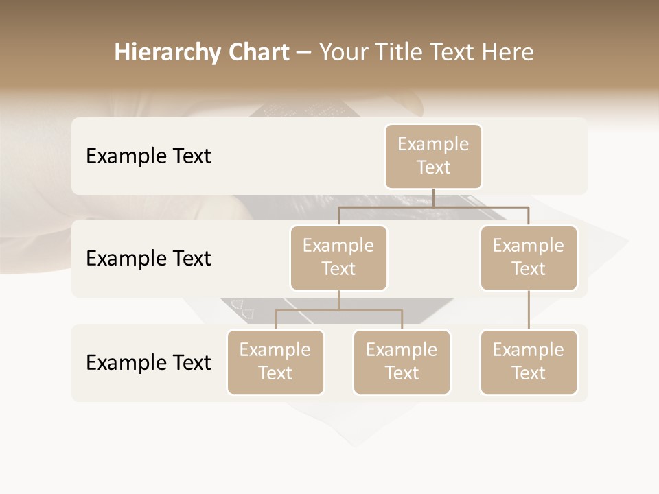 Doctor Hands With Ovary Sonogram PowerPoint Template