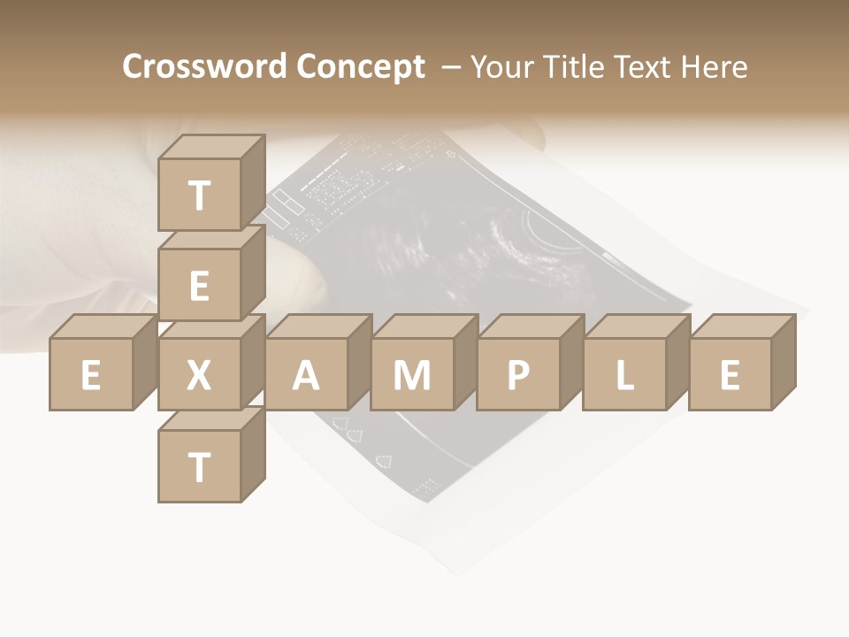 Doctor Hands With Ovary Sonogram PowerPoint Template