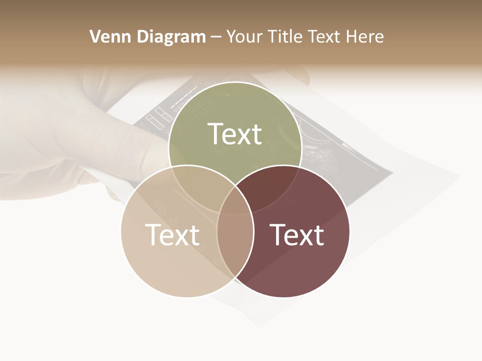 Doctor Hands With Ovary Sonogram PowerPoint Template