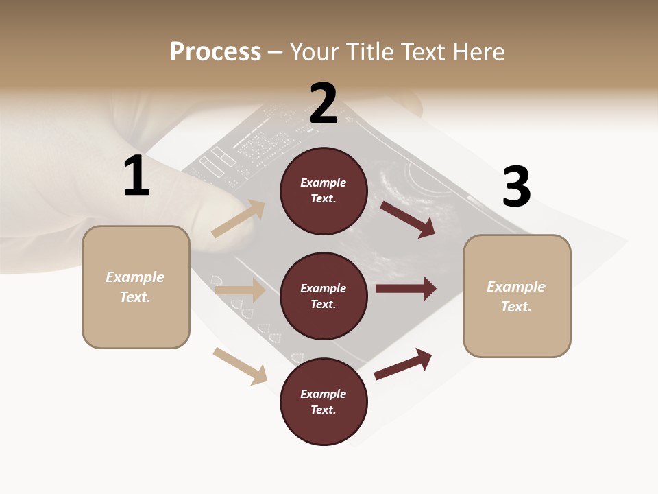 Doctor Hands With Ovary Sonogram PowerPoint Template