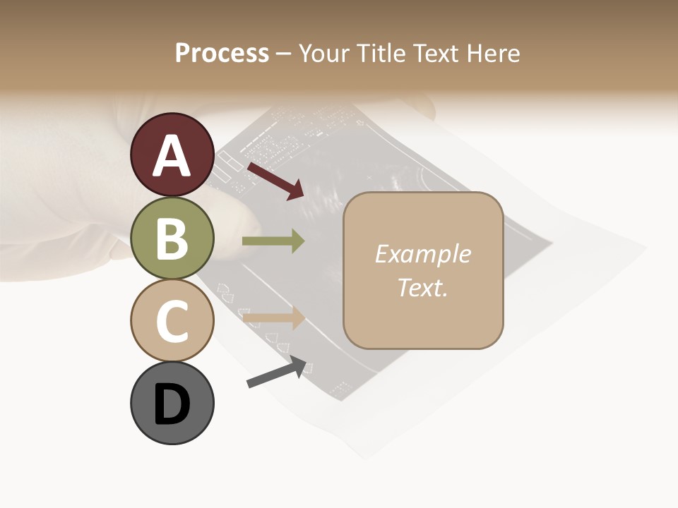 Doctor Hands With Ovary Sonogram PowerPoint Template