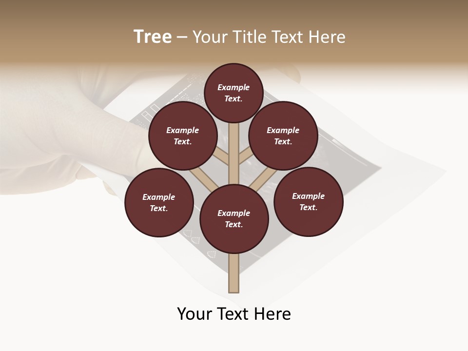 Doctor Hands With Ovary Sonogram PowerPoint Template