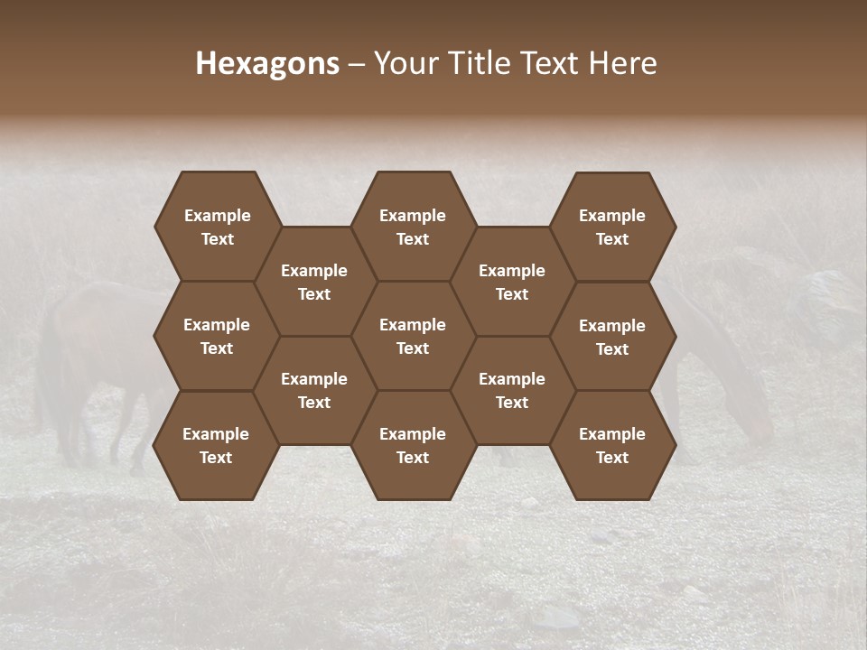 Horses In Hail PowerPoint Template