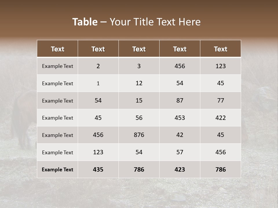 Horses In Hail PowerPoint Template