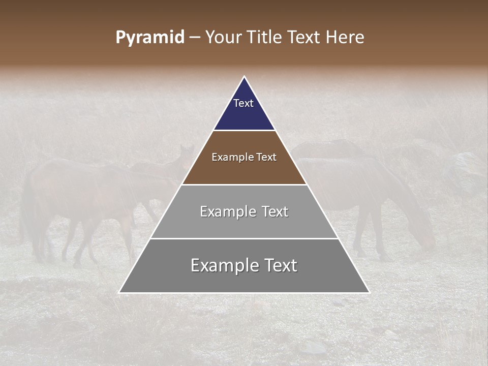 Horses In Hail PowerPoint Template