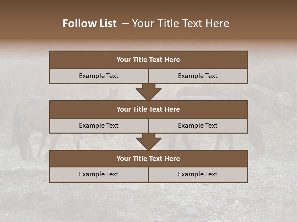 Horses In Hail PowerPoint Template