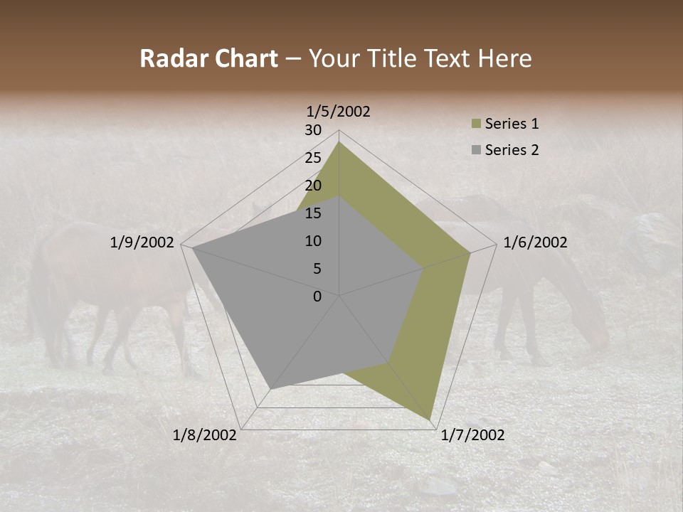 Horses In Hail PowerPoint Template