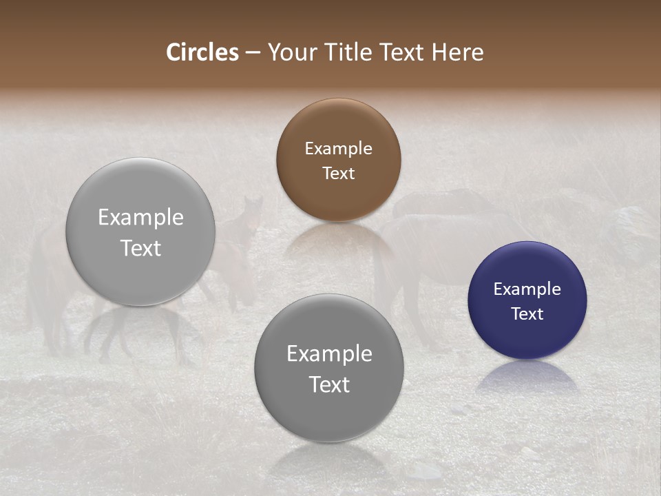 Horses In Hail PowerPoint Template