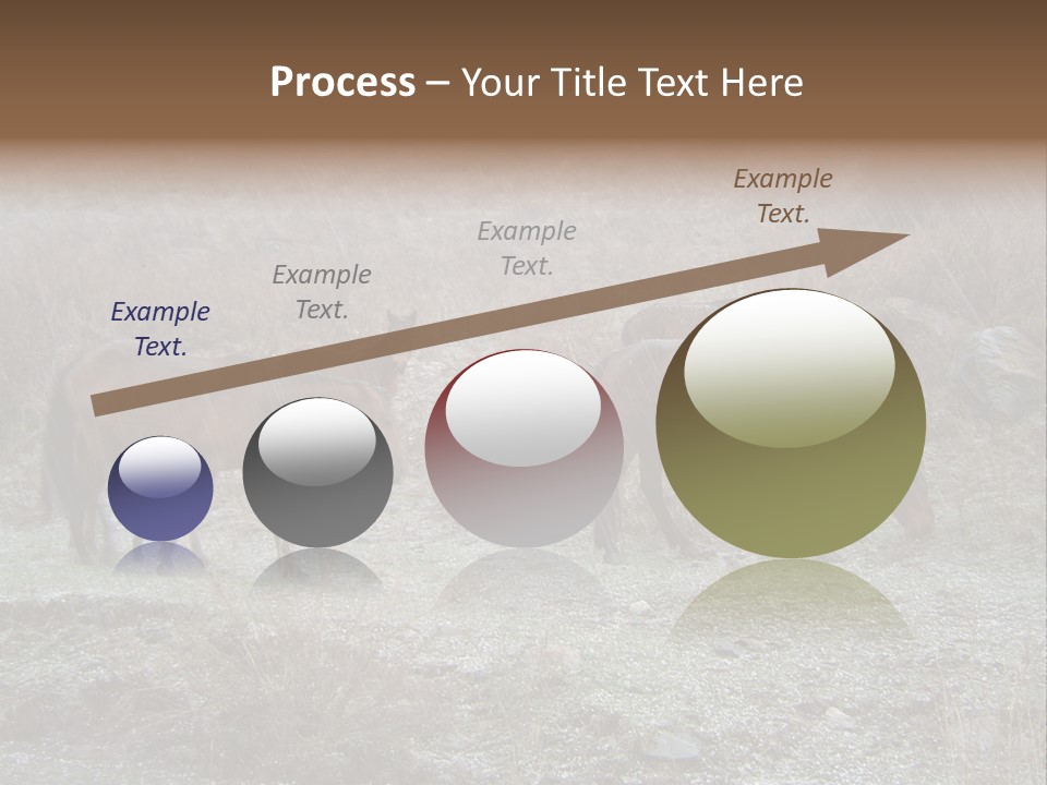 Horses In Hail PowerPoint Template