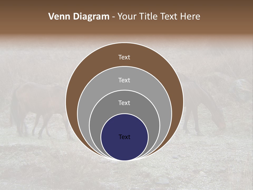 Horses In Hail PowerPoint Template