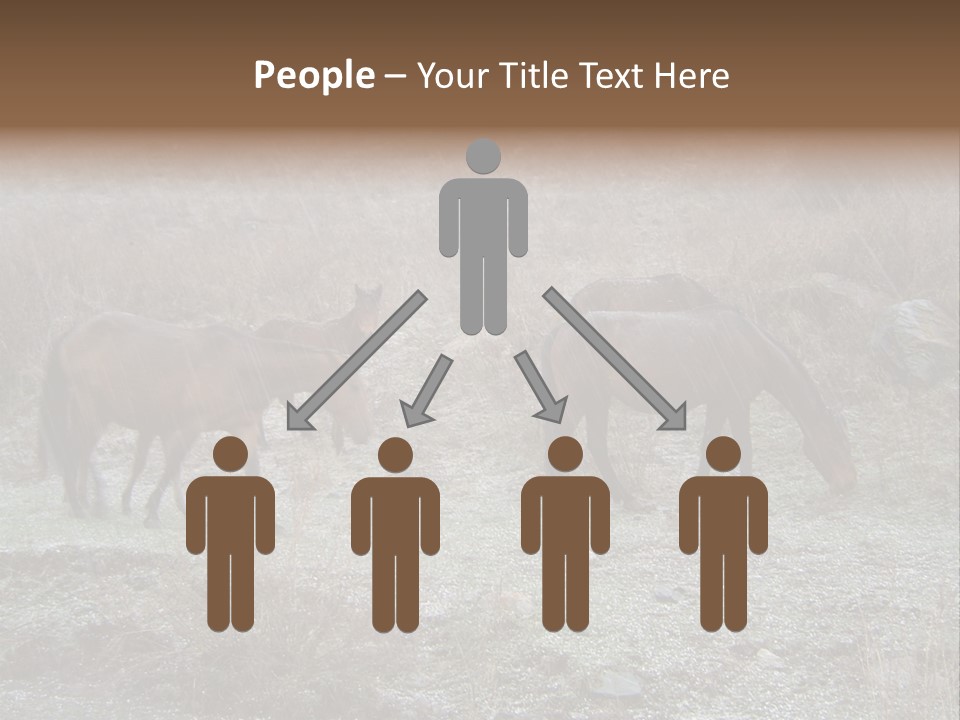 Horses In Hail PowerPoint Template