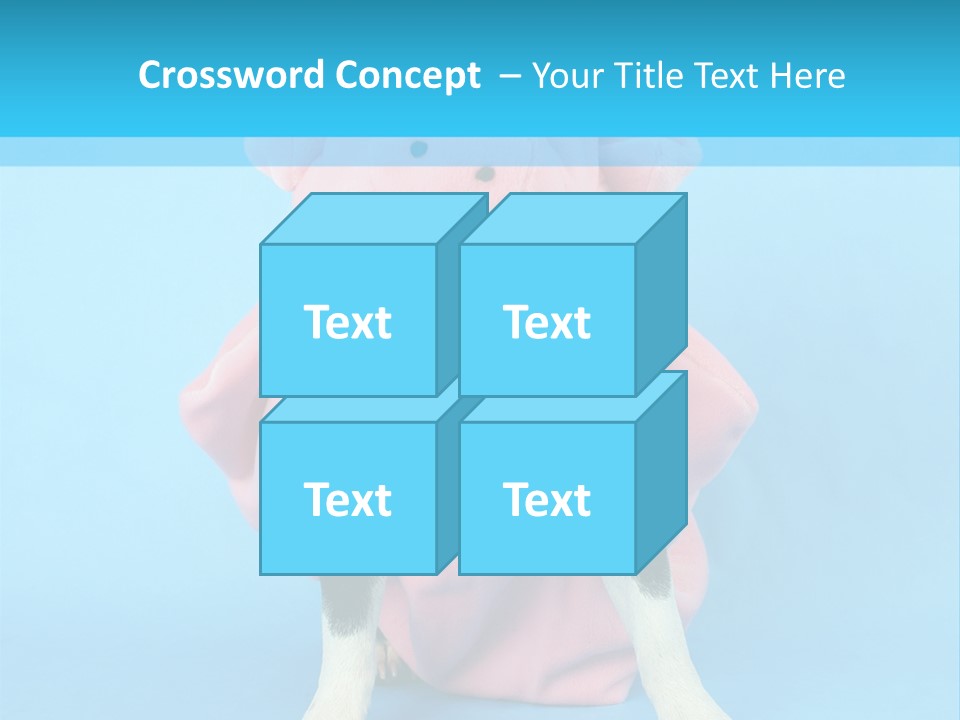 A Boston Terrier In A Pig Costume PowerPoint Template