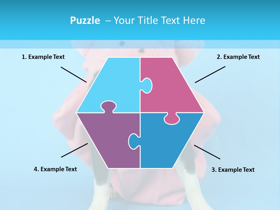 A Boston Terrier In A Pig Costume PowerPoint Template