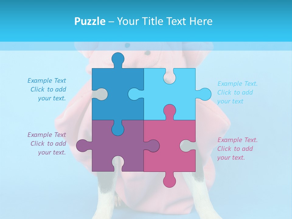 A Boston Terrier In A Pig Costume PowerPoint Template