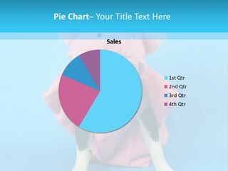 A Boston Terrier In A Pig Costume PowerPoint Template