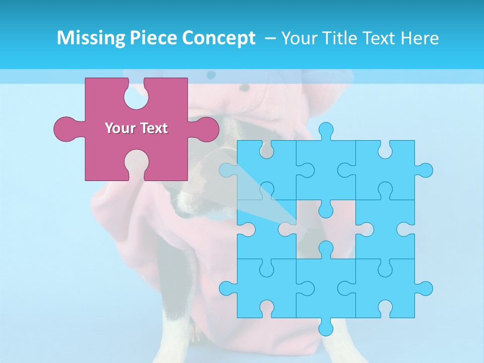 A Boston Terrier In A Pig Costume PowerPoint Template