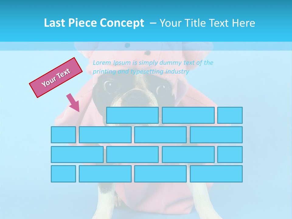 A Boston Terrier In A Pig Costume PowerPoint Template