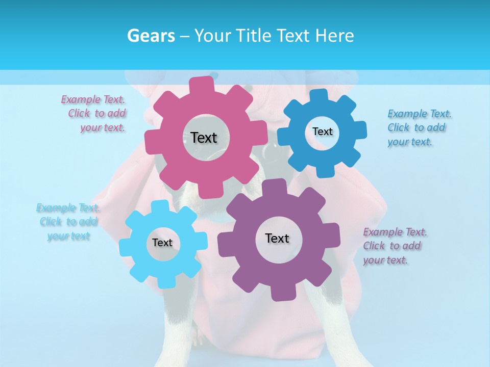 A Boston Terrier In A Pig Costume PowerPoint Template