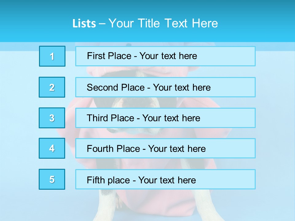 A Boston Terrier In A Pig Costume PowerPoint Template