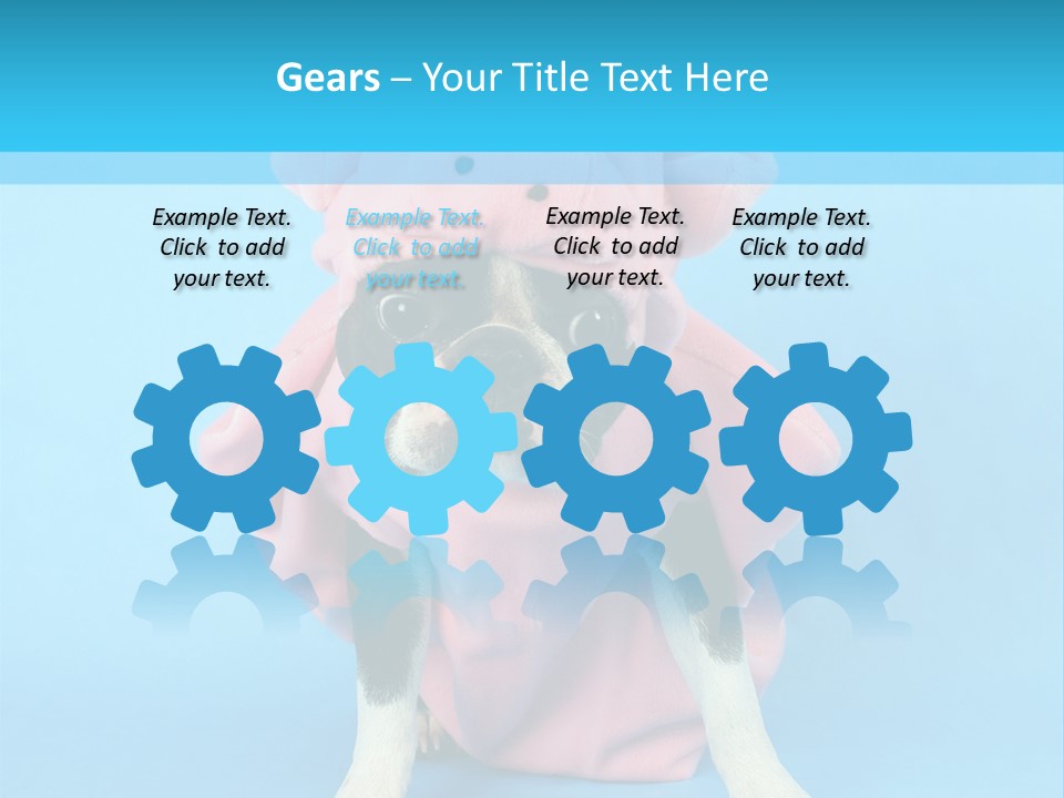 A Boston Terrier In A Pig Costume PowerPoint Template