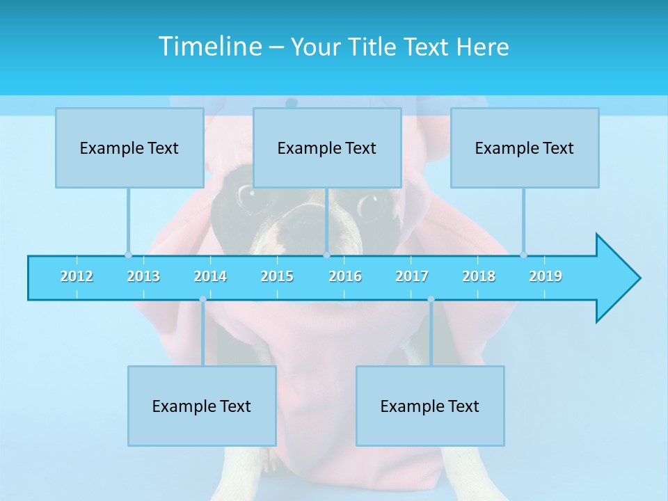 A Boston Terrier In A Pig Costume PowerPoint Template