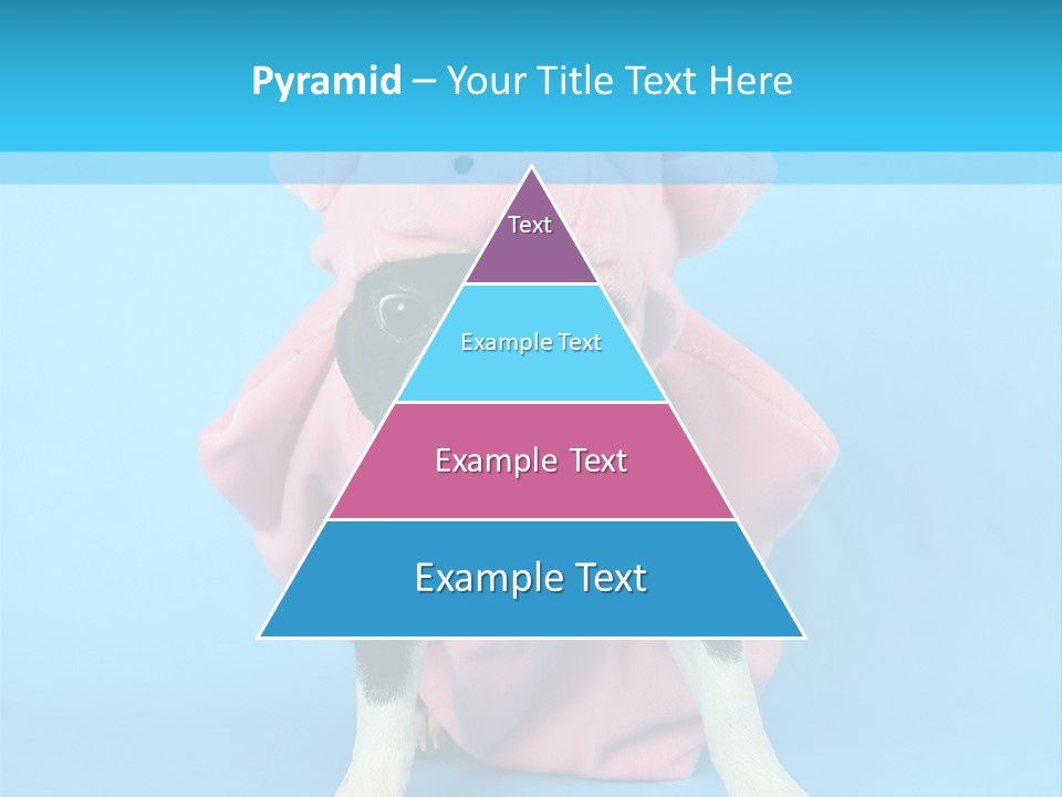 A Boston Terrier In A Pig Costume PowerPoint Template