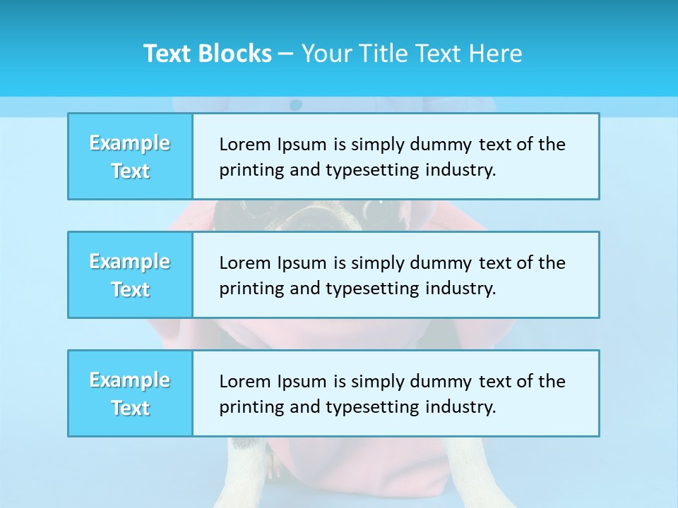 A Boston Terrier In A Pig Costume PowerPoint Template