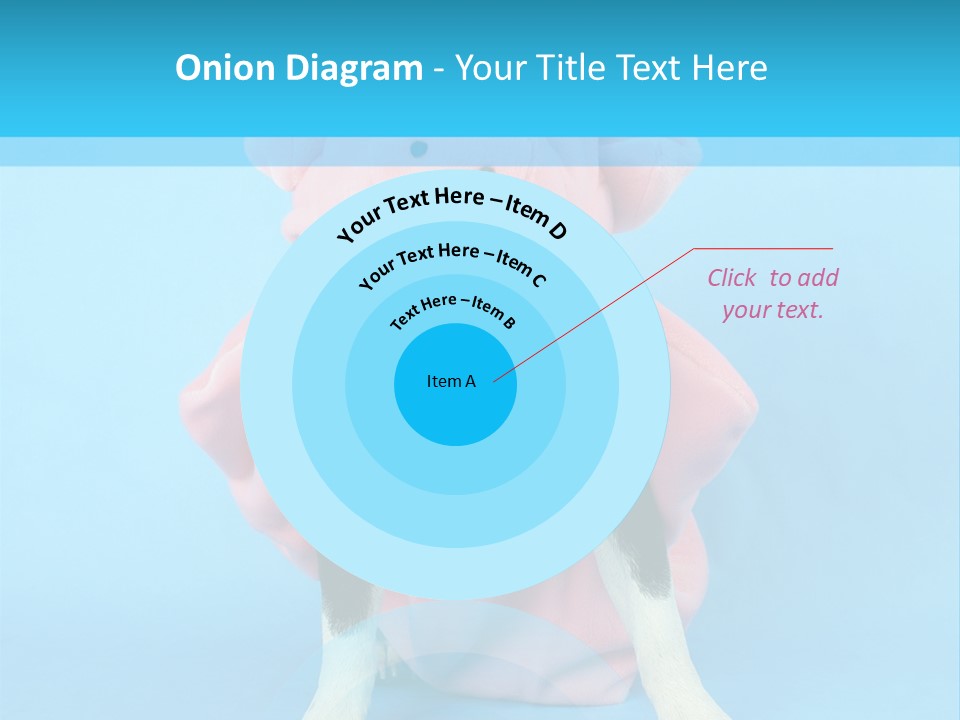 A Boston Terrier In A Pig Costume PowerPoint Template