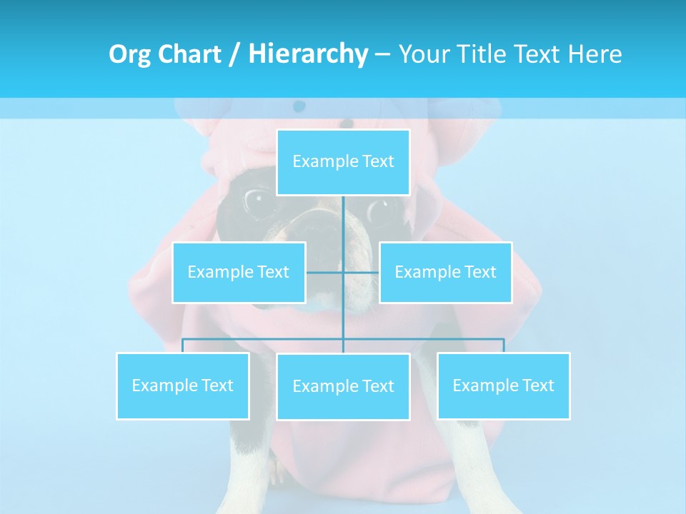 A Boston Terrier In A Pig Costume PowerPoint Template