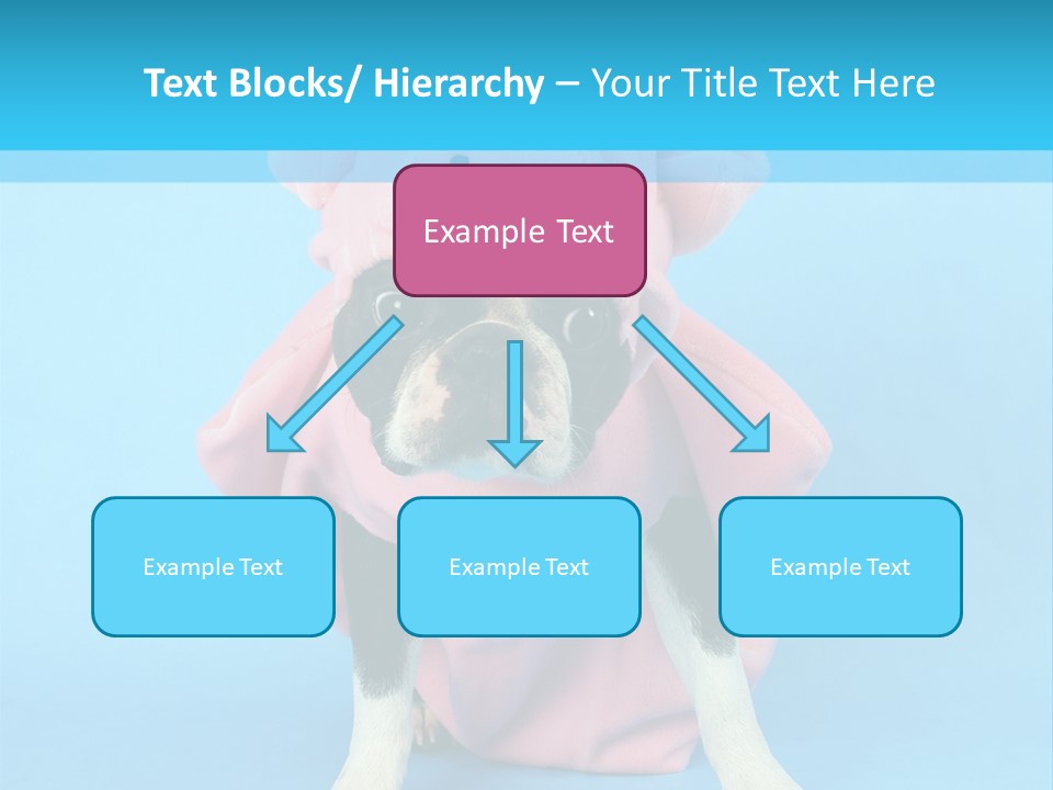 A Boston Terrier In A Pig Costume PowerPoint Template