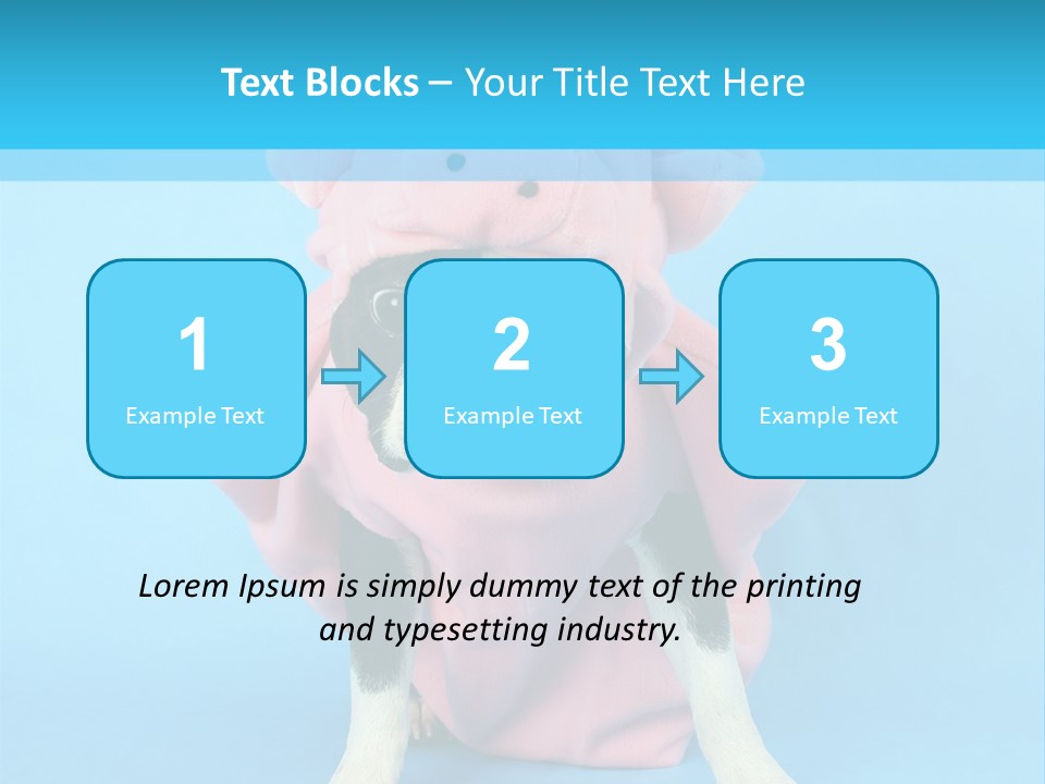 A Boston Terrier In A Pig Costume PowerPoint Template