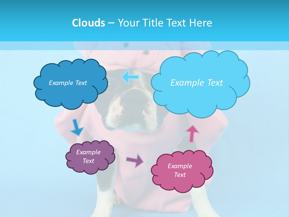 A Boston Terrier In A Pig Costume PowerPoint Template