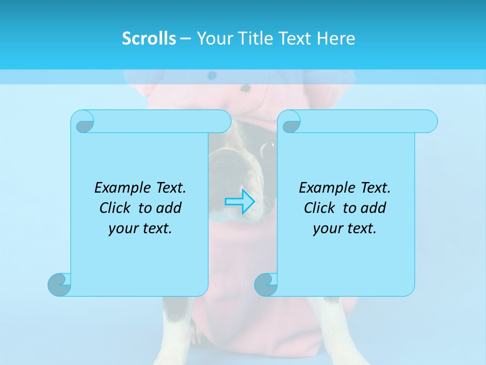 A Boston Terrier In A Pig Costume PowerPoint Template