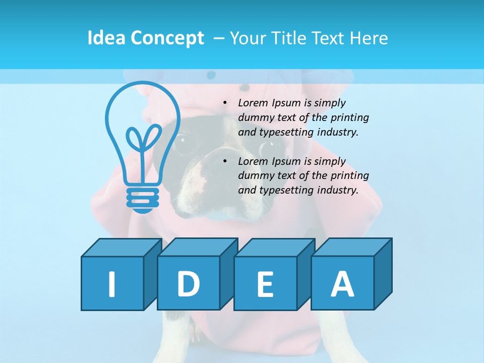 A Boston Terrier In A Pig Costume PowerPoint Template