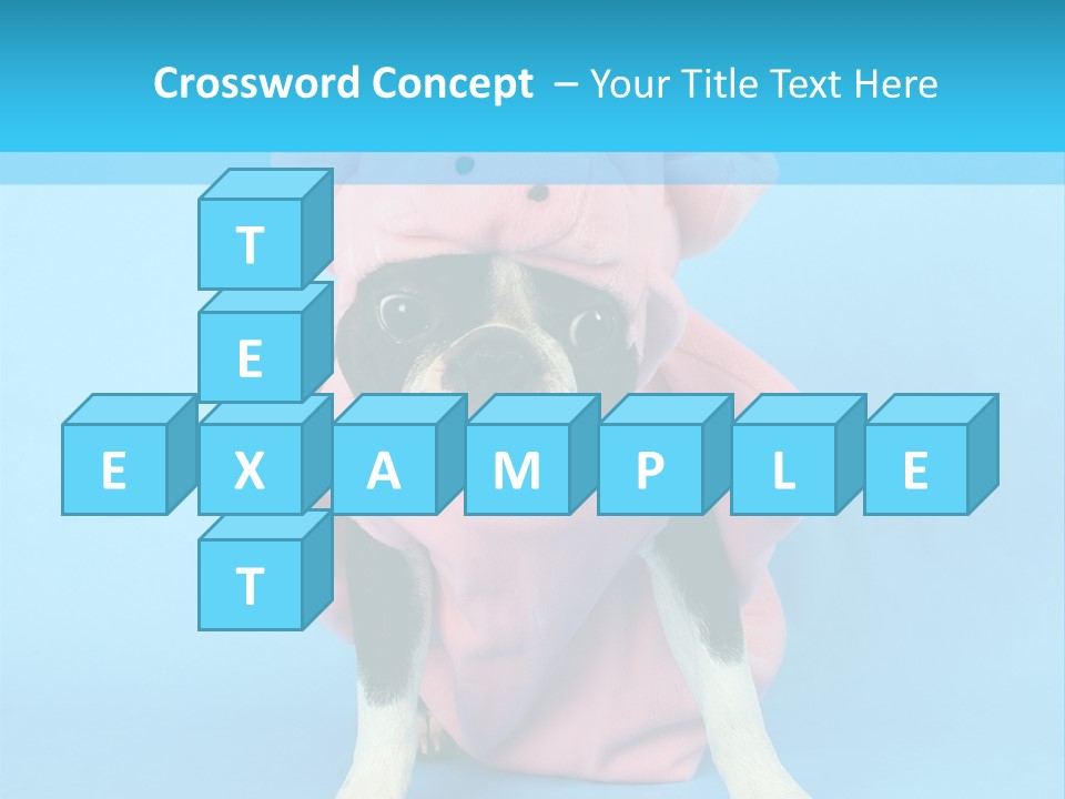 A Boston Terrier In A Pig Costume PowerPoint Template