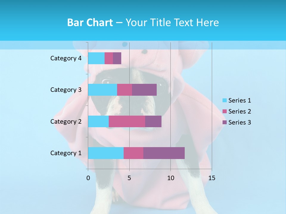 A Boston Terrier In A Pig Costume PowerPoint Template
