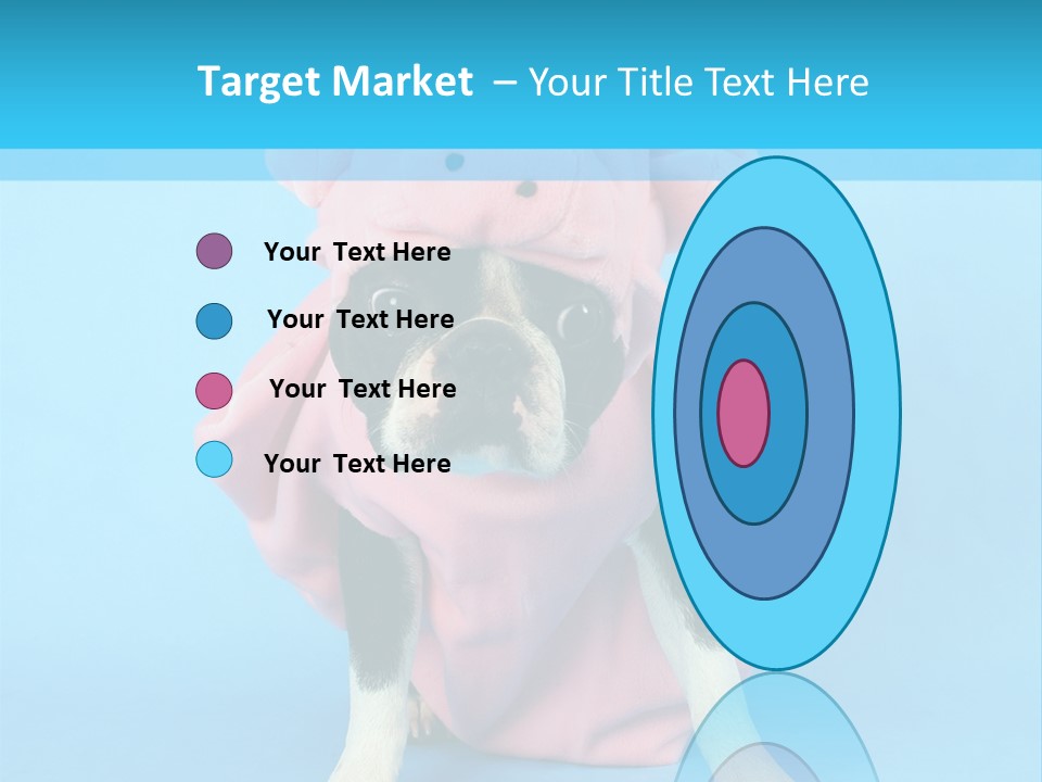 A Boston Terrier In A Pig Costume PowerPoint Template