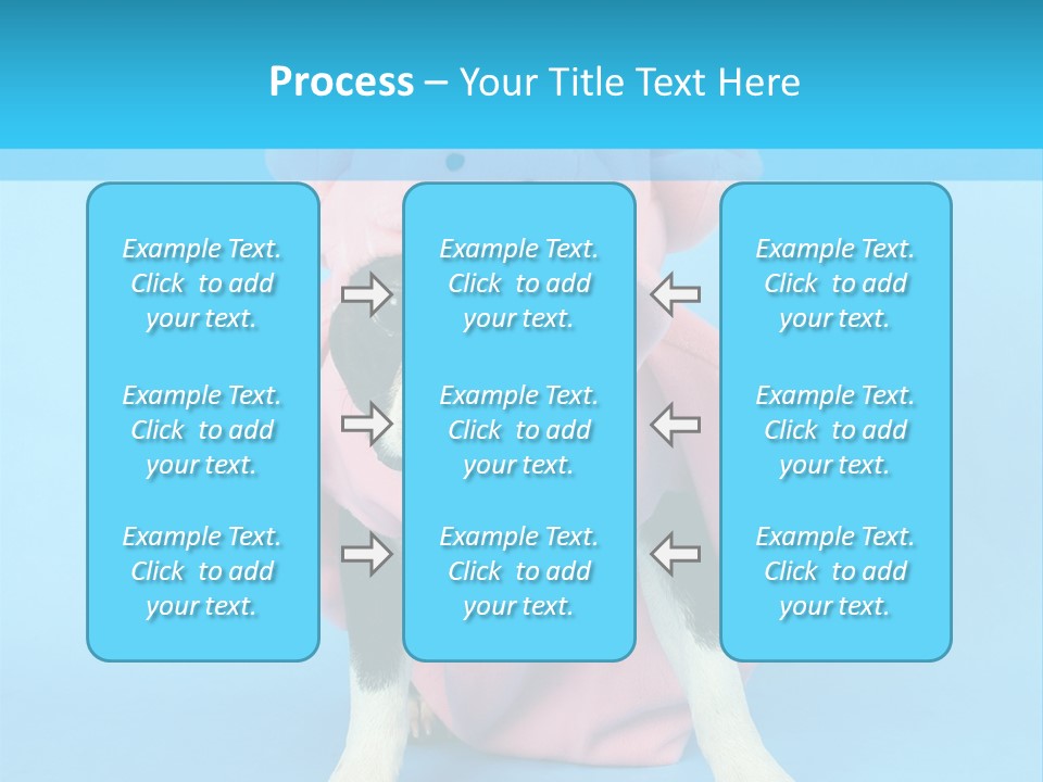 A Boston Terrier In A Pig Costume PowerPoint Template