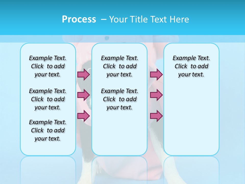 A Boston Terrier In A Pig Costume PowerPoint Template