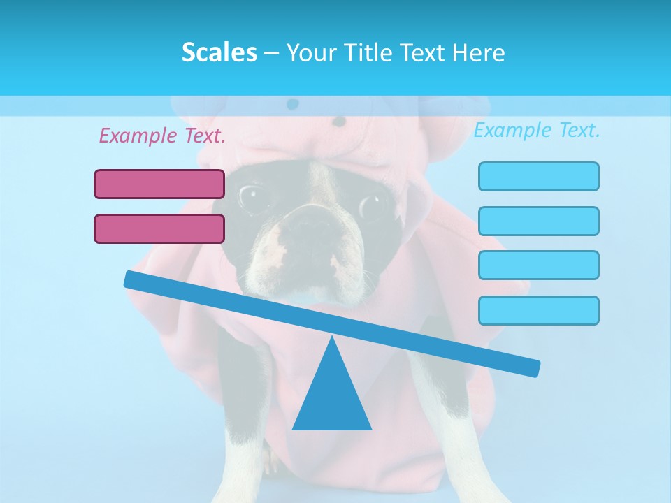 A Boston Terrier In A Pig Costume PowerPoint Template