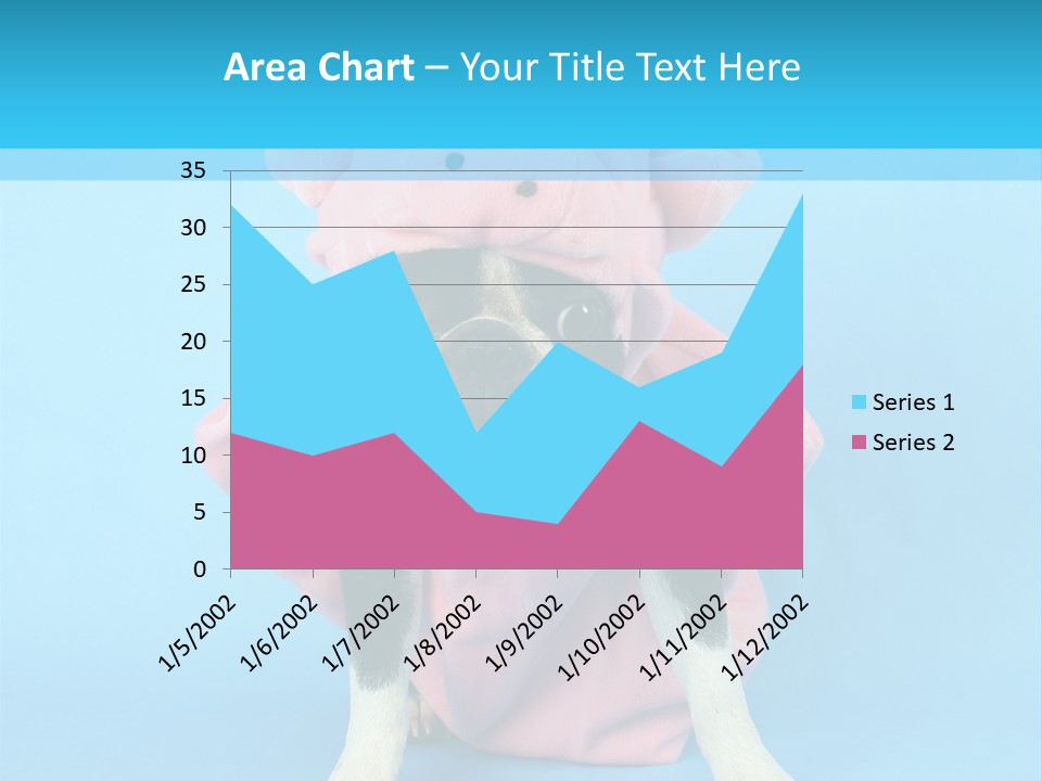 A Boston Terrier In A Pig Costume PowerPoint Template