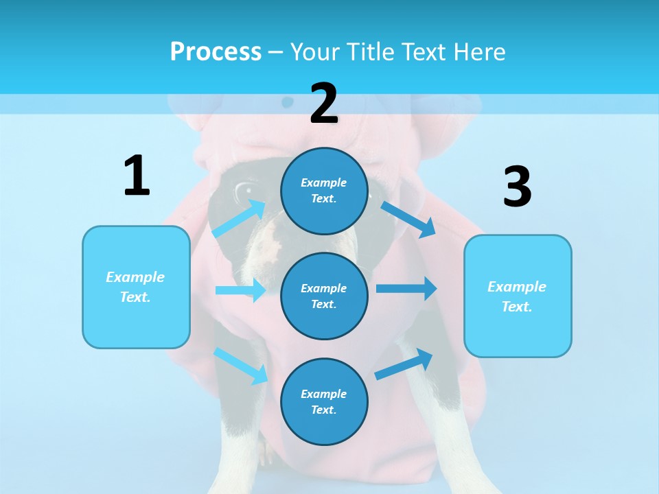 A Boston Terrier In A Pig Costume PowerPoint Template