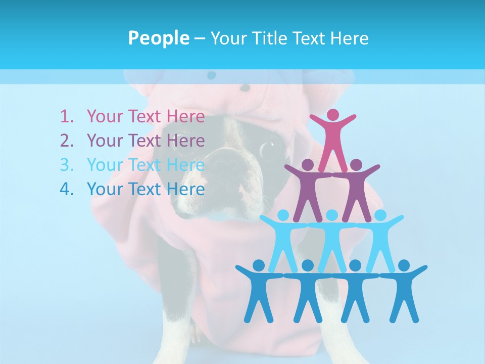 A Boston Terrier In A Pig Costume PowerPoint Template