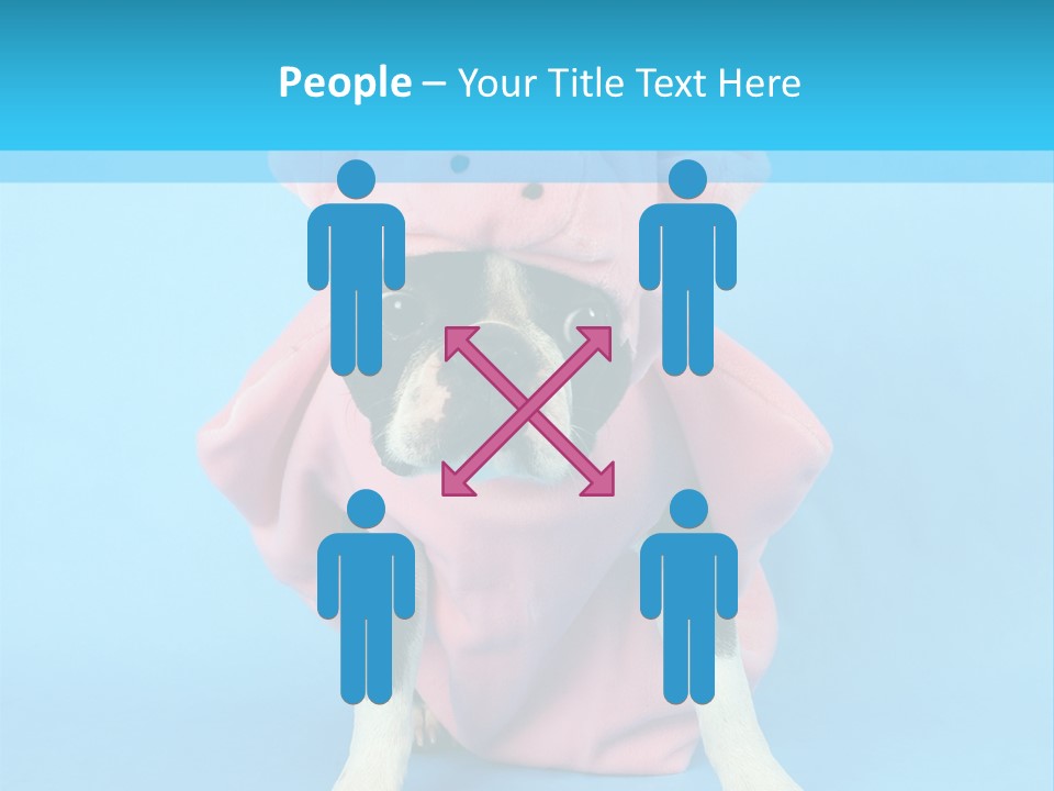 A Boston Terrier In A Pig Costume PowerPoint Template